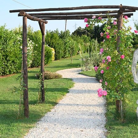 I Delfini - Natural B&B Cesenatico Zewnętrze zdjęcie