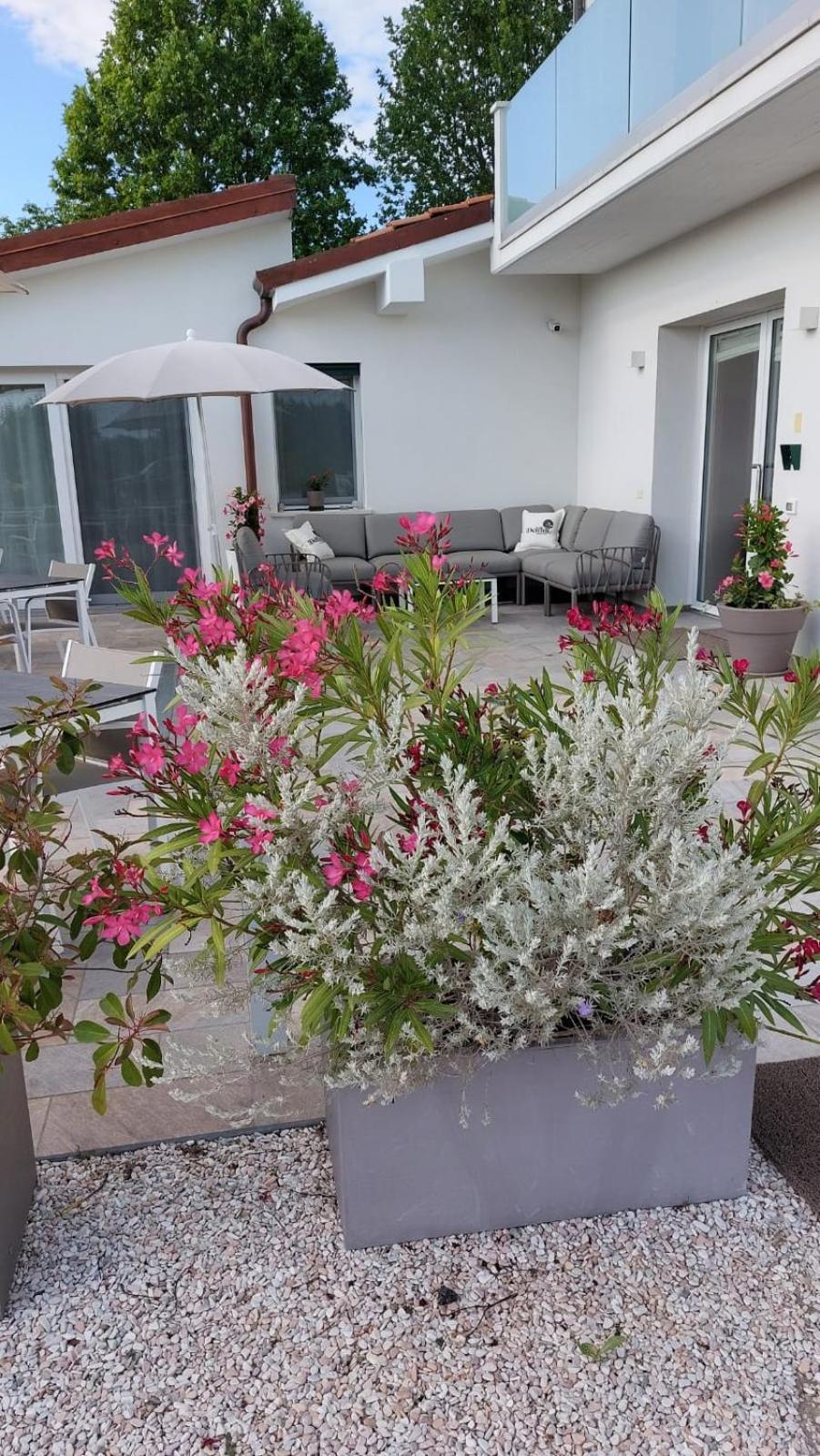 I Delfini - Natural B&B Cesenatico Zewnętrze zdjęcie