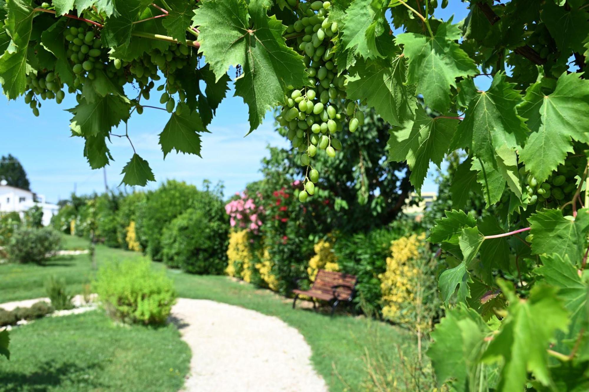I Delfini - Natural B&B Cesenatico Zewnętrze zdjęcie